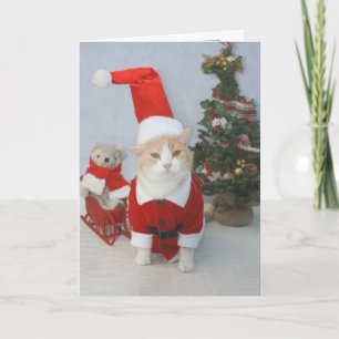 Cartão De Festividades MEOWry Christmas!