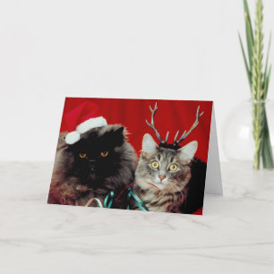 Cartão De Festividades Meowy Christmas card
