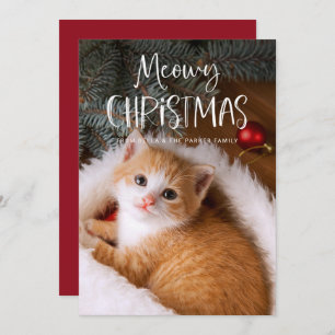 Cartão De Festividades Meowy Christmas Foto De Gato De Pet Engraçado