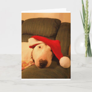 Cartão De Festividades merra christmas santa hat