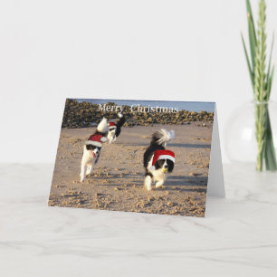 Cartão De Festividades Merry Christmas