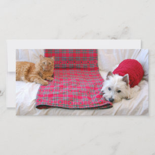 Cartão De Festividades Merry Christmas