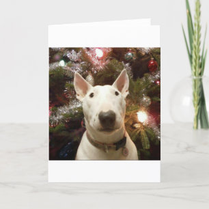 Cartão De Festividades merry christmas