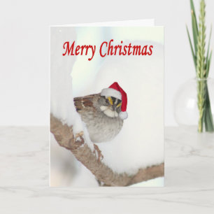 Cartão De Festividades Merry Christmas bird with Santa hat greeting card