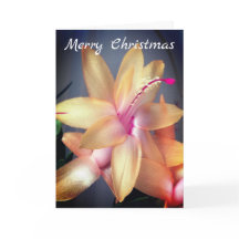 *~* Merry Christmas Cactus Flower Personalizar