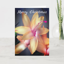Cartão De Festividades *~* Merry Christmas Cactus Flower Personalizar