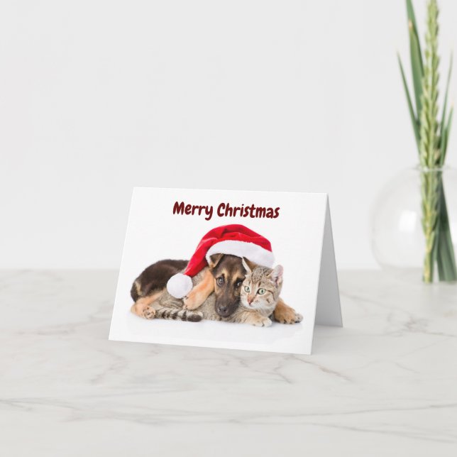 Cartão De Festividades Merry Christmas Cat and Dog holiday card (Frente)