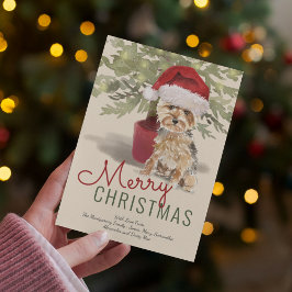 Cartão De Festividades Merry Christmas Cute Yorkshire Terrier