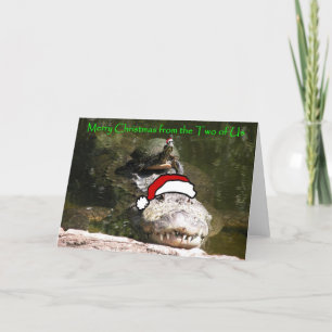 Cartão De Festividades Merry Christmas from the Two of Us