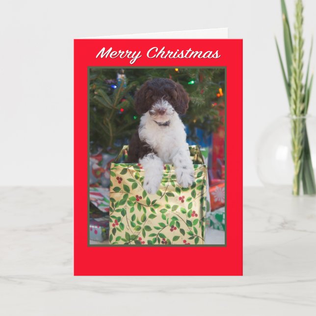 Cartão De Festividades Merry Christmas Labradoodle Puppy Card (Frente)