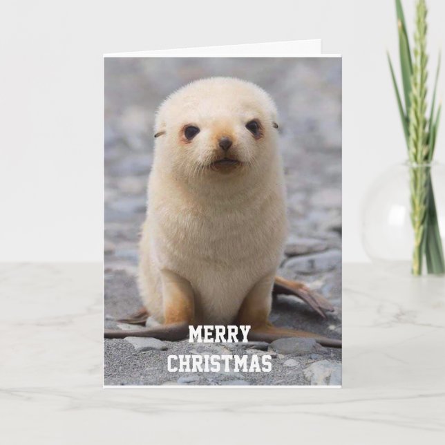 CARTÃO DE FESTIVIDADES MERRY CHRISTMAS "PARA VOCÊ!" DE "ME" (Frente)