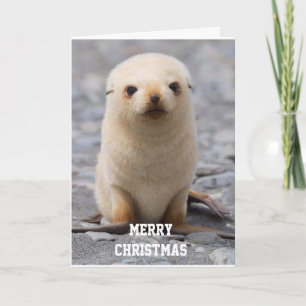 CARTÃO DE FESTIVIDADES MERRY CHRISTMAS "PARA VOCÊ!" DE "ME"