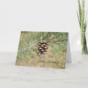 Cartão De Festividades Merry Christmas Pine Cone Card