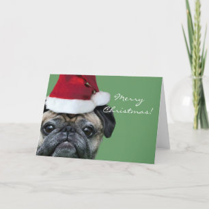 Cartão De Festividades Merry Christmas Pug greeeting card