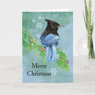 Cartão De Festividades Merry Christmas Stellar Jay Bird Scripture Art