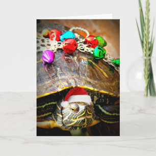 Cartão De Festividades Merry Christmas Turtle