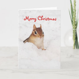 Cartão De Festividades Merry Christnas Little Snowy Chipmunk Card