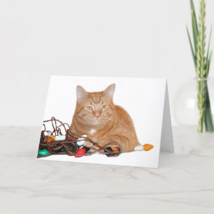 Cartão De Festividades Meu!