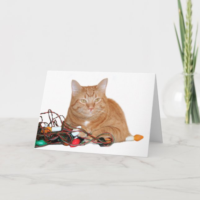 Cartão De Festividades Meu! (Frente)