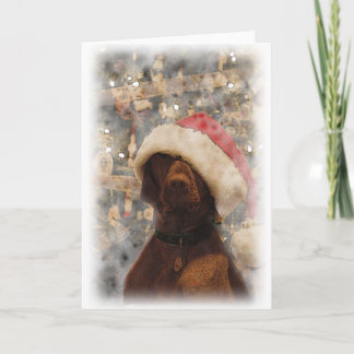Cartão De Festividades Meu Feliz Natal Vizsla