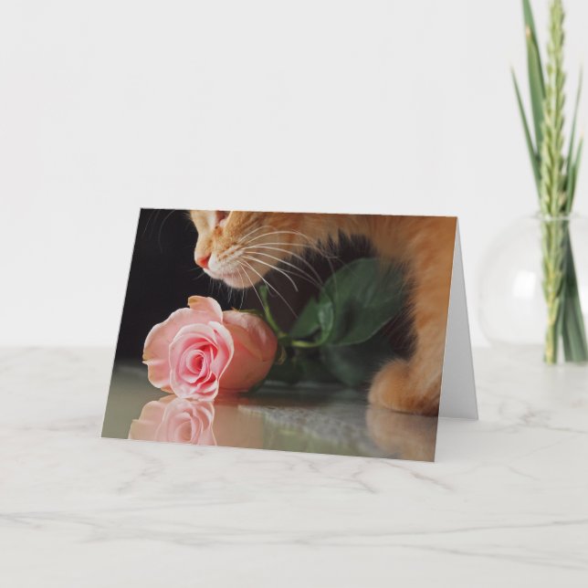 Cartão De Festividades Meu Namorados engraçado (Frente)