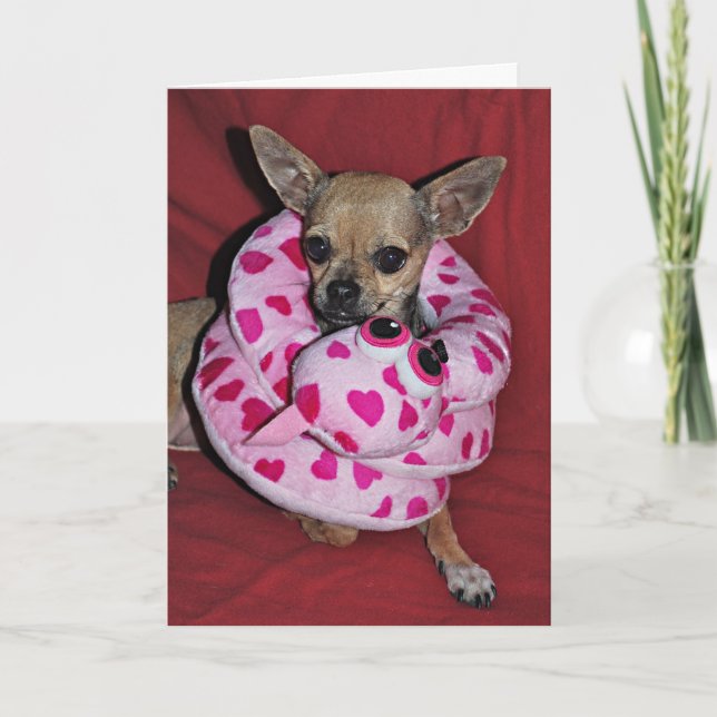 Cartão De Festividades Meus namorados engraçados (Frente)