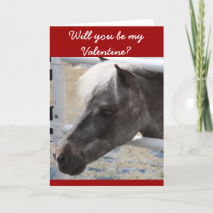 Cartão De Festividades Miniature horse greeting card