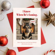 Minimal Cute Dog Funny Pet Photo Christmas