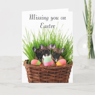 Cartão De Festividades Missing you on Easter French bulldog puppies card