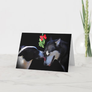 Cartão De Festividades Mistiltoe Cães Beijantes