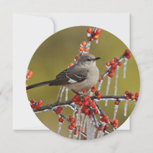 Cartão De Festividades Mockingbird Perch no Icy Holly Branch