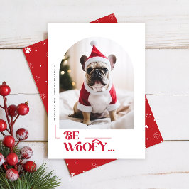 Cartão De Festividades Modern Funny Dog Pet Arch Photo Christmas
