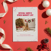 Modern Humor Funny Dog Photo Christmas