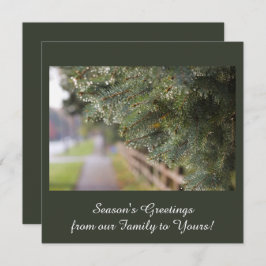 Cartão De Festividades Moderno e Elegante Shimmering Evergreen Agulhas Ve