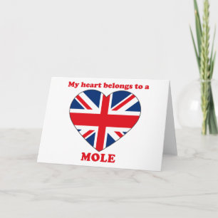 Cartão De Festividades Mole