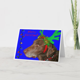 Cartão De Festividades Moxie 20103, Feliz Natal!