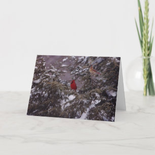 Cartão De Festividades Mr & Mrs Cardinal