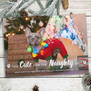 Cartão De Festividades Muito Bonita Para A Lista De Cães Engraçados Foto 
