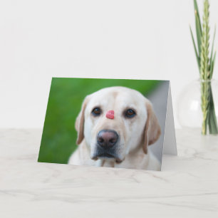 Cartão De Festividades Muito Paciente