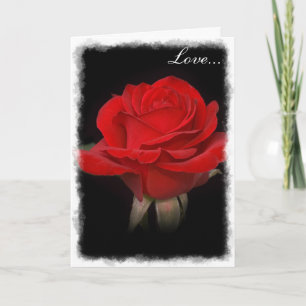 Cartão De Festividades Muito Rosa vermelha White Outline "Love"