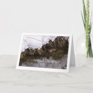 Cartão De Festividades Muskrat Christmas Quirky