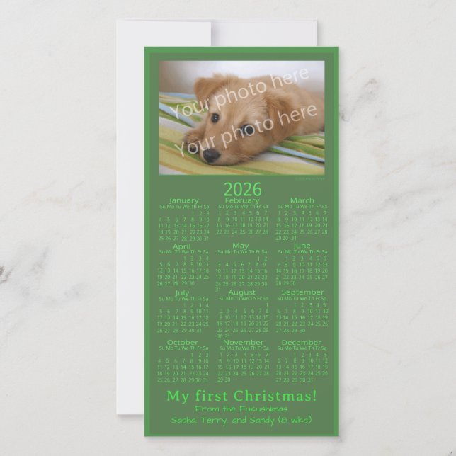 Cartão De Festividades My First Christmas Pet Photo 2026 Calendar Green (Frente)