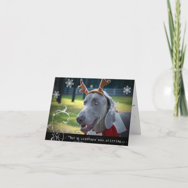Cartão De Festividades Nação de Weimaraner: "Não uma criatura estava (Frente)