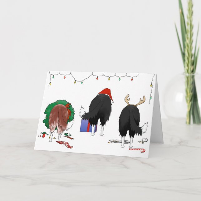 Cartão De Festividades Nada De Bumbum De Fronteira De Natal (Frente)