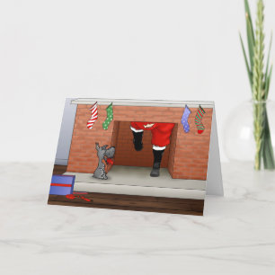 Cartão De Festividades Nada de Bumbum de Natal Schnauzer