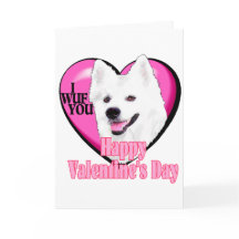 Namorados americanos do cão Eskimo