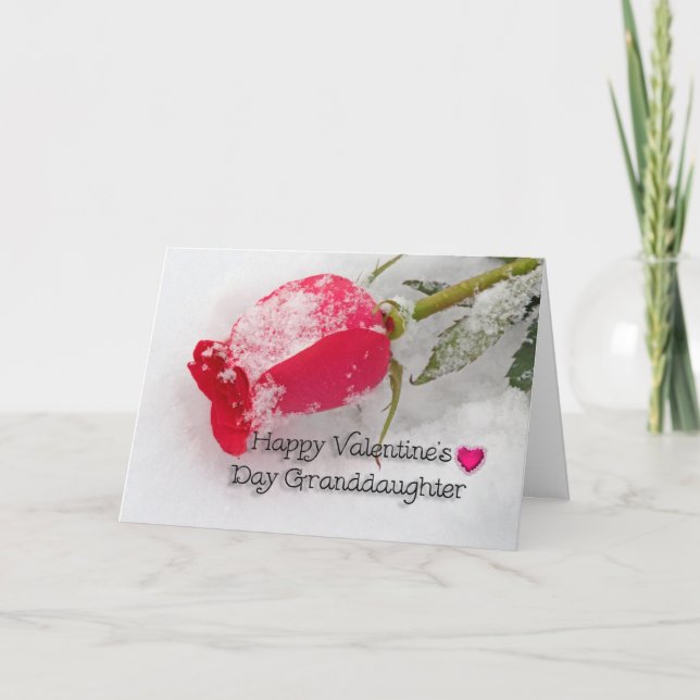 Cartão De Festividades Namorados da neta rosa rosa rosa rosa rosa (Frente)