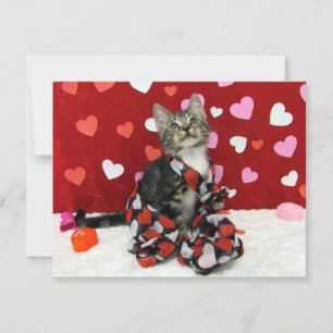 Cartão De Festividades Namorados de amor de Bandit - Gato / Gatinho - Car