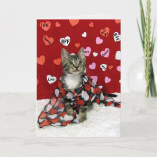 Cartão De Festividades Namorados de Bandit - Namorados de Gato/Gatinho