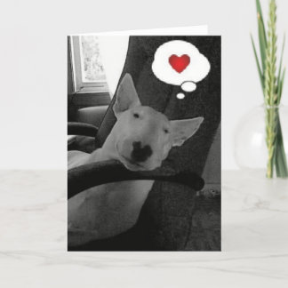 Cartão De Festividades namorados de bull terrier do inglês